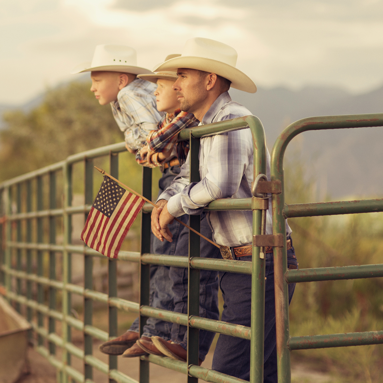 wrangler tools